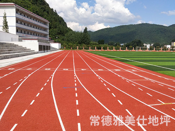 銅仁中學(xué)塑膠跑道、草坪
